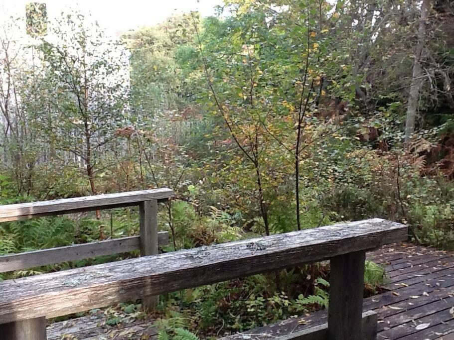 Blar Na Leisg, Self Catering Lodge 2. Drumbeg Екстериор снимка